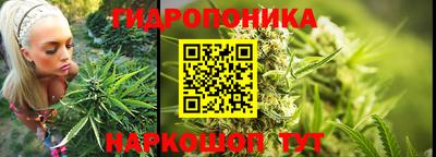 стаф Пенза