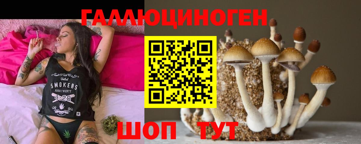 Галлюциногенные грибы Magic Shrooms  Вход с VPN  Осинники 